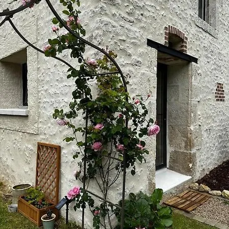Gite Du Chat Roux La Chapelle-Saint-Martin-en-Plaine Extérieur photo